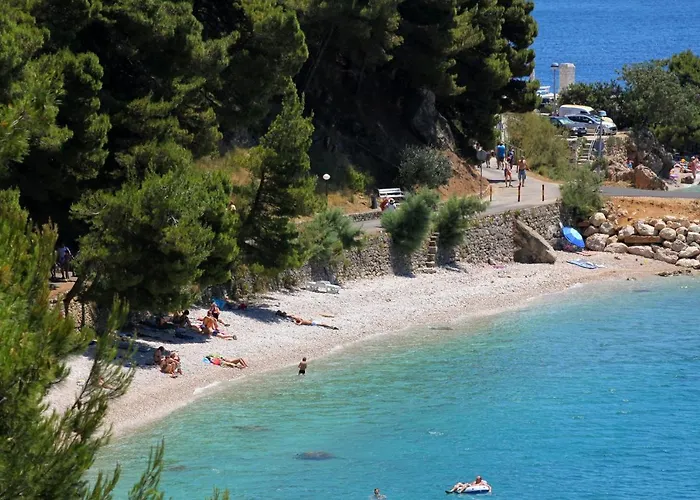 2594b Apartman Podgora (Split-Dalmatia)