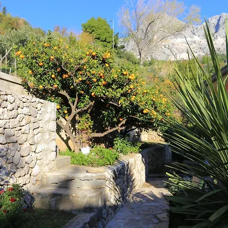 2594b * Podgora (Split-Dalmatia)